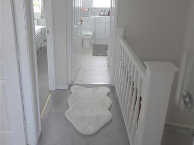 Picture 16